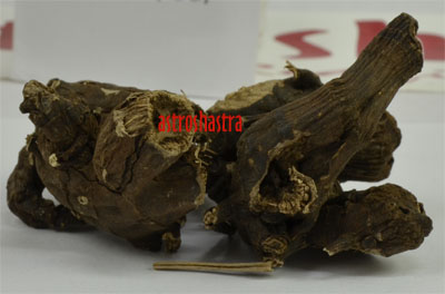 gravel root
